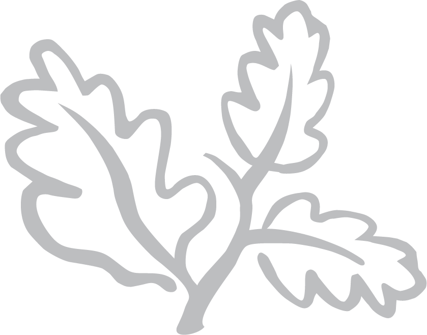 Holme Tree